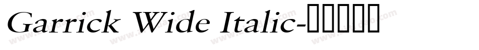 Garrick Wide Italic字体转换